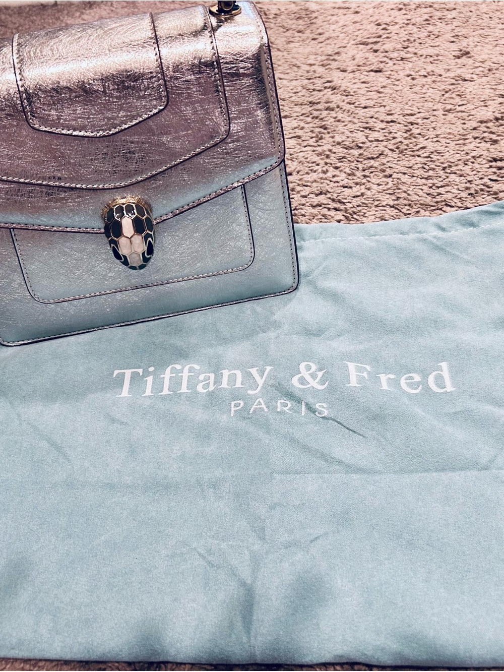 Tiffany & Fred Silver Metallic Shoulder Bag with Snakehead Clasp